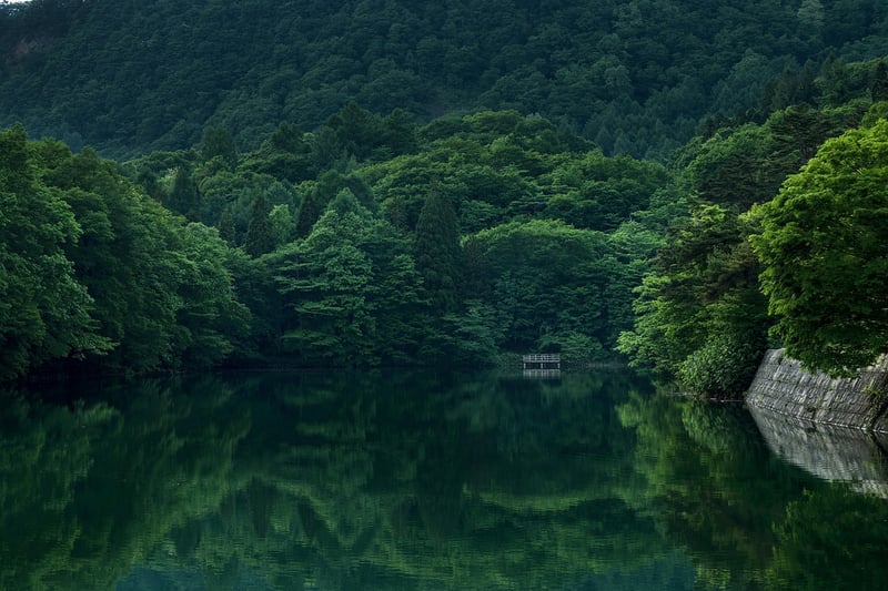 Serene Lake